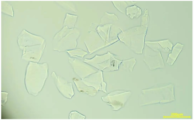 企業(yè)微信截圖_20250603175809 企業(yè)微信截圖_20250603175809